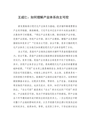 王成仁：如何理解产业体系自主可控.docx