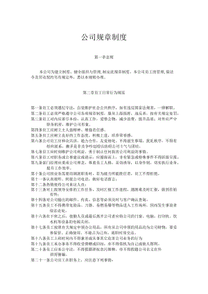 公司规章制度（完整）.docx