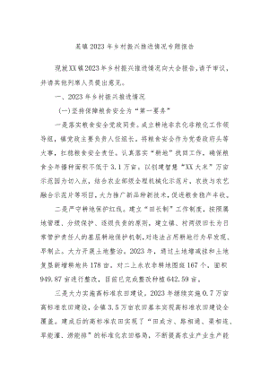 某镇2023年乡村振兴推进情况专题报告.docx