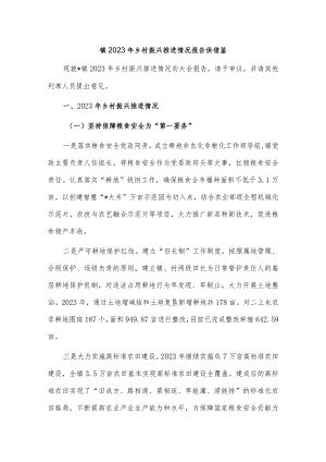 镇2023年乡村振兴推进情况报告供借鉴.docx