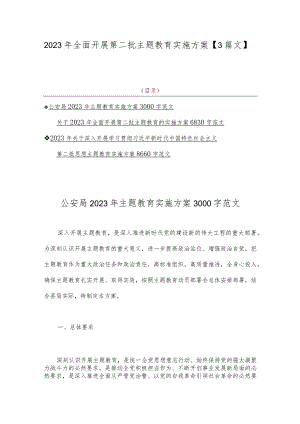 2023年全面开展第二批主题教育实施方案【3篇文】.docx