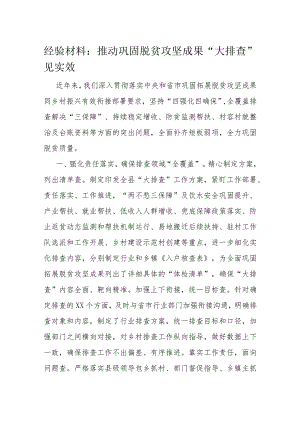 经验材料：推动巩固脱贫攻坚成果“大排查”见实效.docx