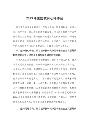 2023学习贯彻第二批主题教育心得体会(十九篇).docx