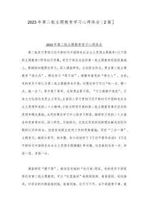 2023年第二批主题教育学习心得体会【2篇】.docx