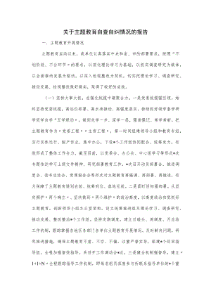 关于主题教育自查自纠情况的报告.docx