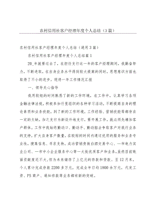农村信用社客户经理年度个人总结（3篇）.docx