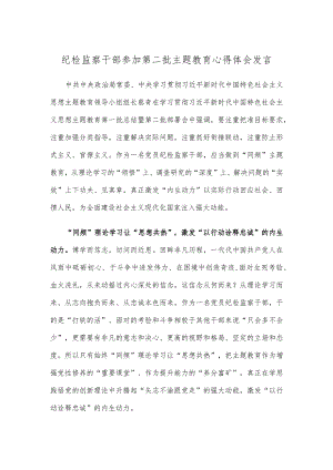 纪检监察干部参加第二批主题教育心得体会发言.docx