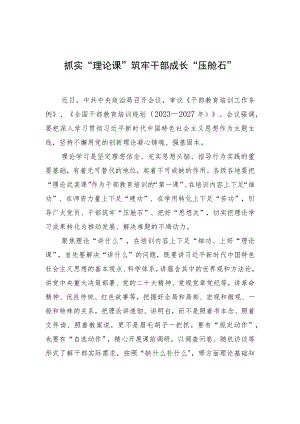 抓实“理论课”筑牢干部成长“压舱石” .docx