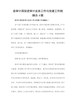 县审计局促进审计业务工作与党建工作相融合6篇.docx