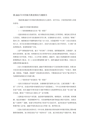 镇2023年乡村振兴推进情况专题报告.docx