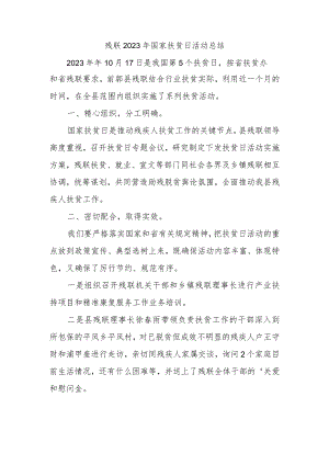 残联2023年国家扶贫日活动总结.docx