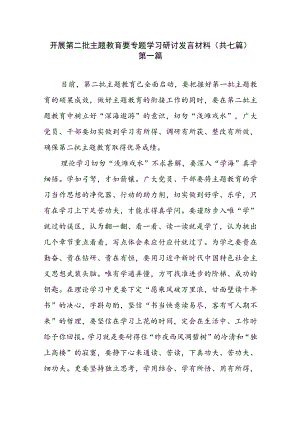 开展第二批主题教育要专题学习研讨发言材料（共七篇）.docx