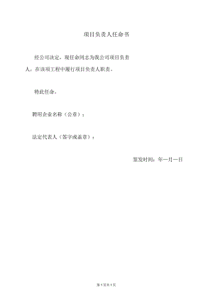 项目负责人任命书（2023年）.docx