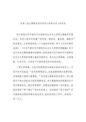 在第二批主题教育读书班党小组研讨会上的发言(二篇).docx