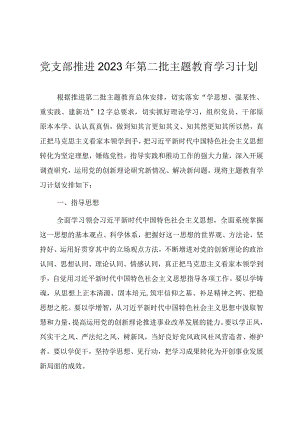 党支部推进2023年第二批主题教育理论学习计划.docx