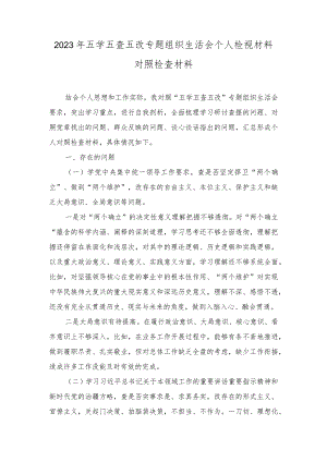 （范文）2023年五学五查五改专题组织生活会个人检视材料对照检查材料.docx
