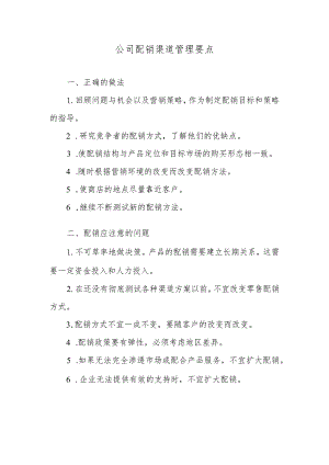 公司配销渠道管理要点.docx