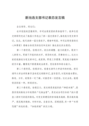 新当选支部书记表态发言稿.docx