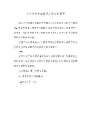 公司未确定型营销决策方案报告.docx