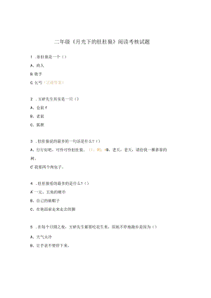 二年级《月光下的肚肚狼》阅读考核试题.docx
