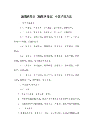 消渴病肾病（糖尿病肾病）中医护理方案2023版与护理效果评价表.docx