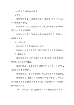 公司促销员评级和薪酬制度.docx