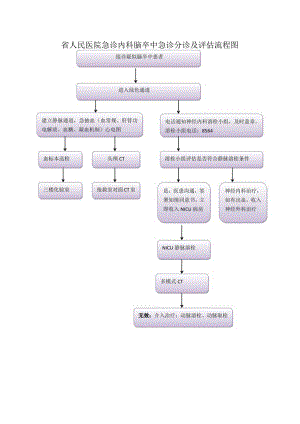 急诊分诊及评估流程图.docx