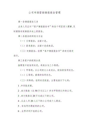 公司市场营销情报报告管理.docx