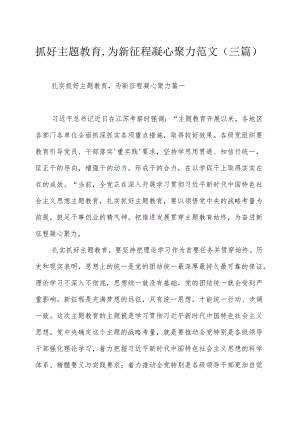 抓好主题教育为新征程凝心聚力范文（三篇）.docx