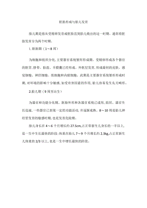 胚胎形成与胎儿发育.docx