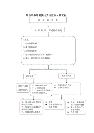 急性卒中患者实行先抢救后付费流程.docx