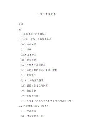 公司广告策划书.docx