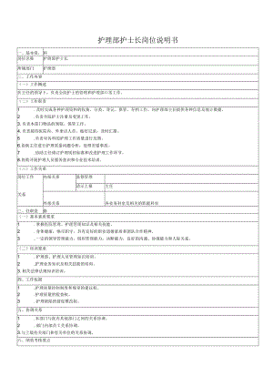 护理部护士长岗位说明书.docx