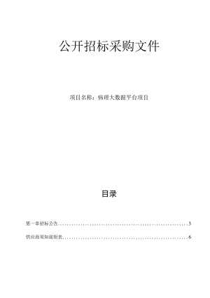 医院病理大数据平台项目招标文件.docx