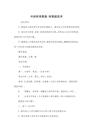 中班体育教案-体智能武术.docx
