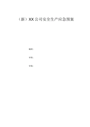 (新)XX公司安全生产应急预案.docx