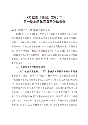 XX党委（党组）2023年第一批主题教育自查评估报告.docx