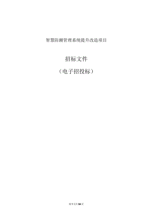 智慧防潮管理系统提升改造项目招标文件.docx
