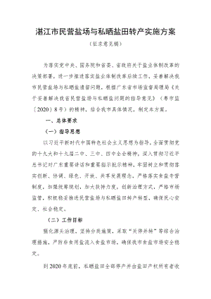湛江市民营盐场与私晒盐田转产实施方案.docx