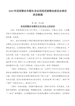 2023年巡视整改专题生活会巡视巡查整改座谈会表态讲话数篇.docx