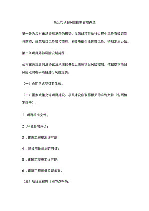 某公司项目风险控制管理办法.docx