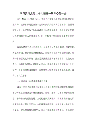 2023年高等学校纪检干部学习贯彻党的二十大精神一周年个人心得体会（8份）.docx