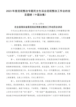 2023年度巡视整改专题民主生活会巡视整改工作会的发言提纲（十篇合集）.docx