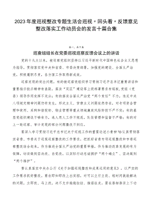 2023年度巡视整改专题生活会巡视“回头看”反馈意见整改落实工作动员会的发言十篇合集.docx