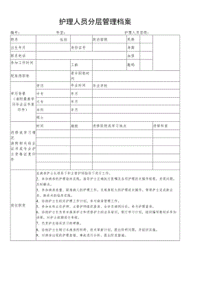 护理人员分层管理档案.docx