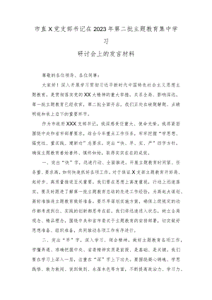 (2篇）市直机关党支部书记在2023年第二批主题教育集中学习研讨会上的发言材料+纪检监察干部教育整顿学习心得体会.docx