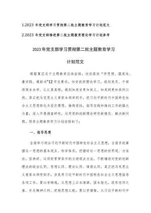 2023年党支部推进学习贯彻第二批主题教育学习计划范文2篇.docx