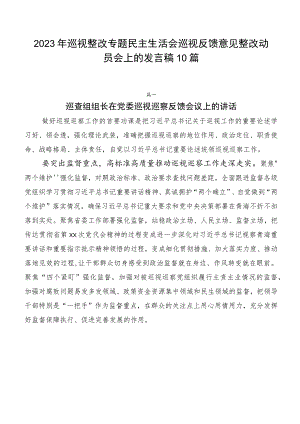 2023年巡视整改专题民主生活会巡视反馈意见整改动员会上的发言稿10篇.docx