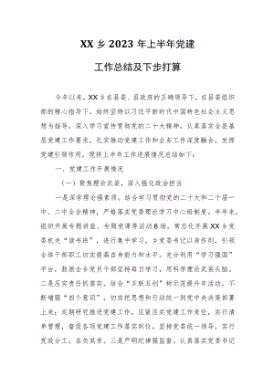 XX乡2023年上半年党建工作总结及下步打算.docx