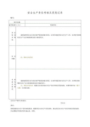 安全生产责任考核及奖惩记录.docx